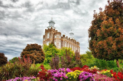 Logan Winter is Coming Gallery Wrap