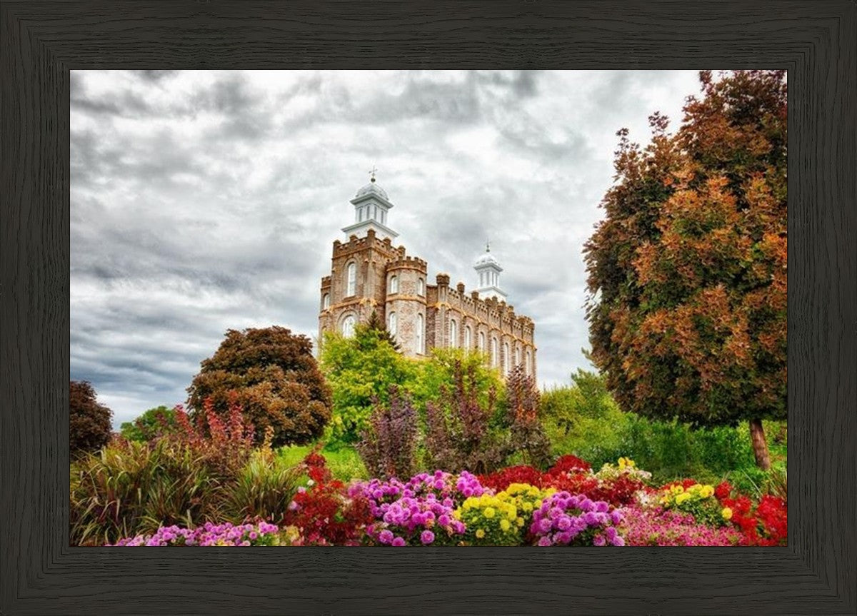 Logan Winter is Coming