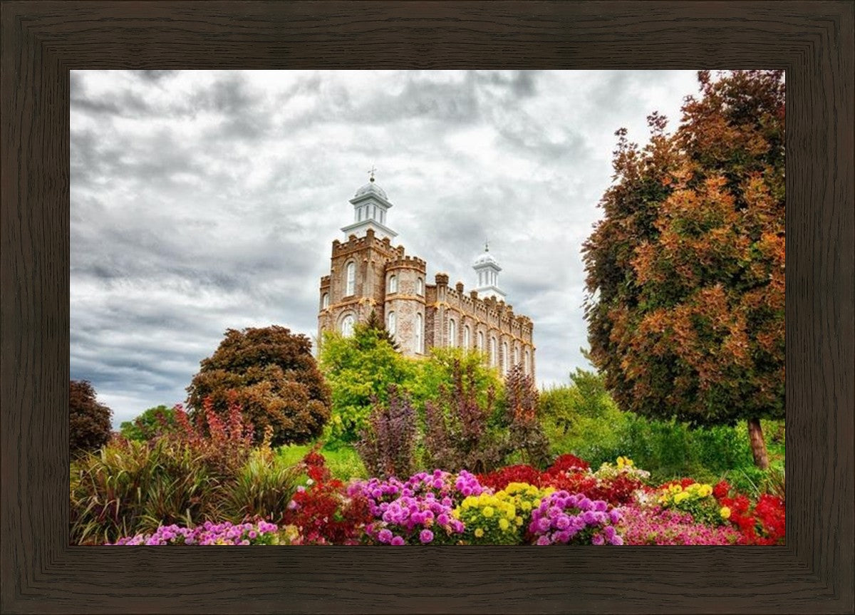 Logan Winter is Coming