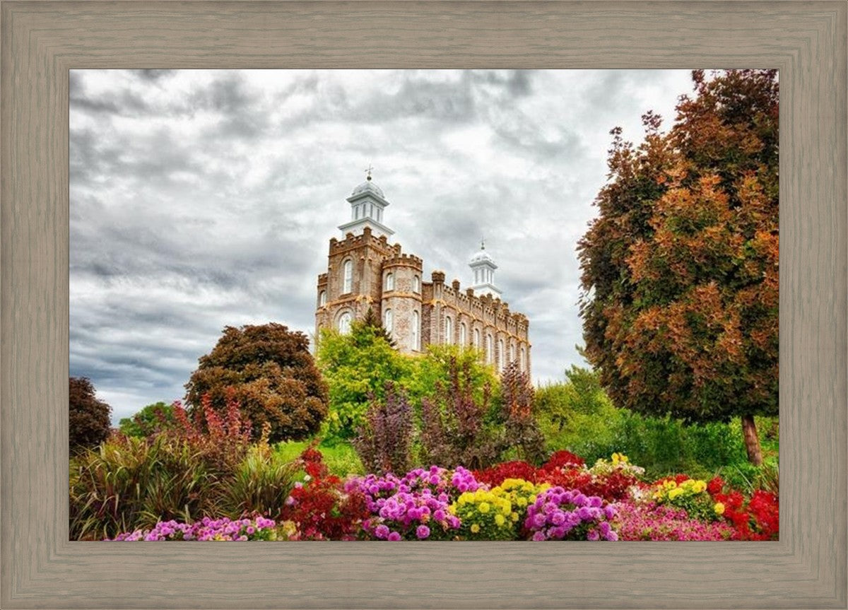 Logan Winter is Coming