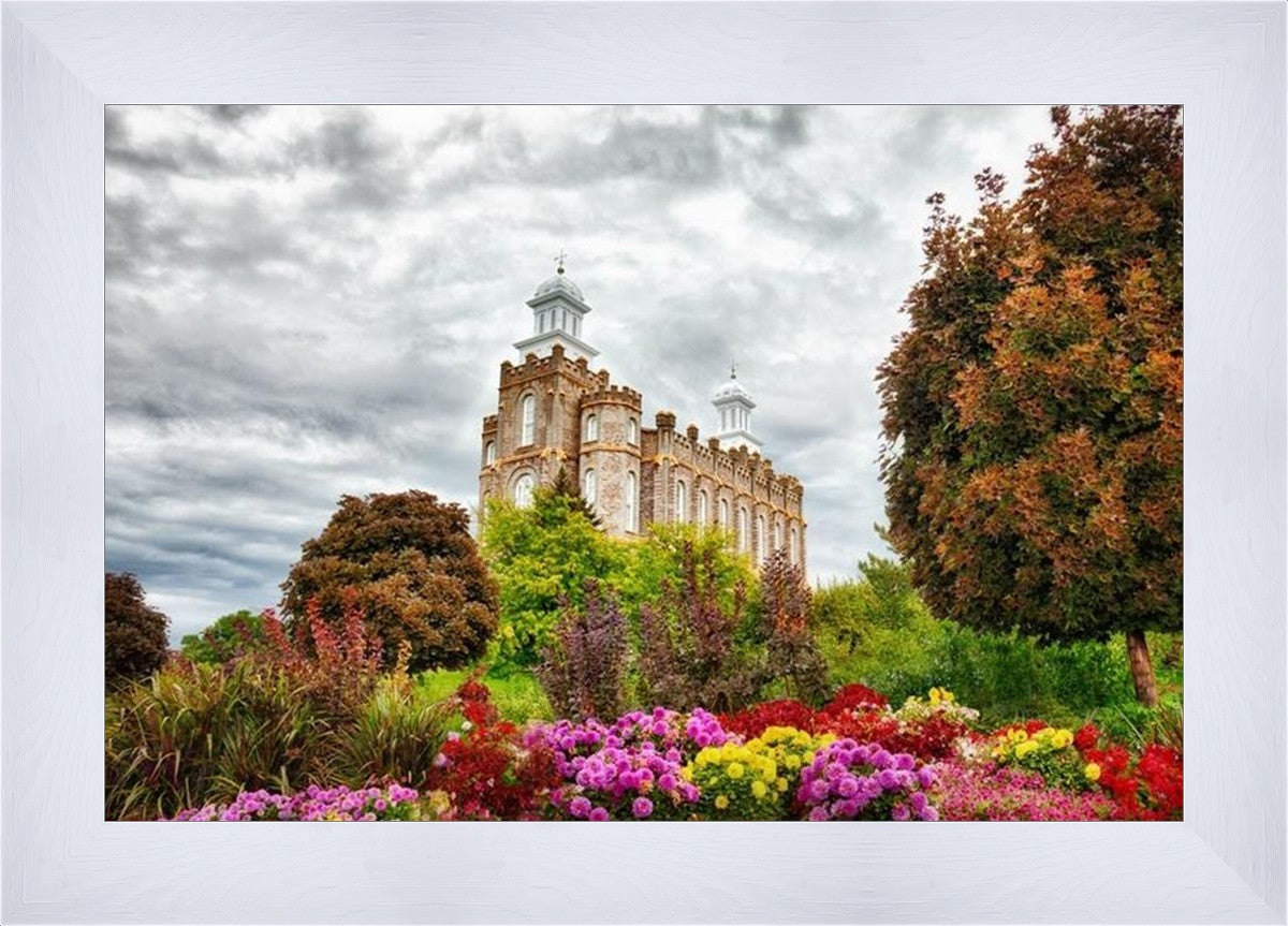 Logan Winter is Coming