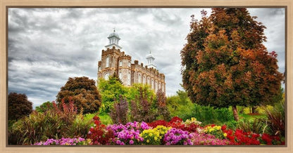 Logan Winter is Coming Gallery Wrap