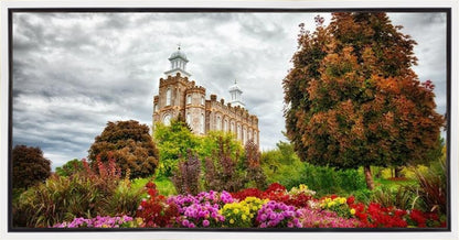 Logan Winter is Coming Gallery Wrap