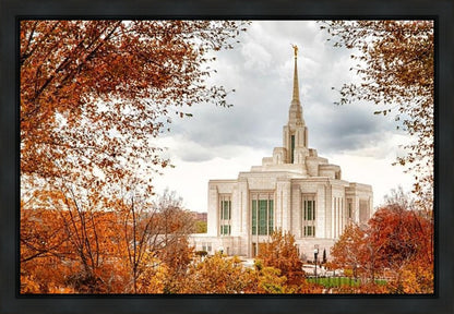 Ogden Autumn Leaves Gallery Wrap