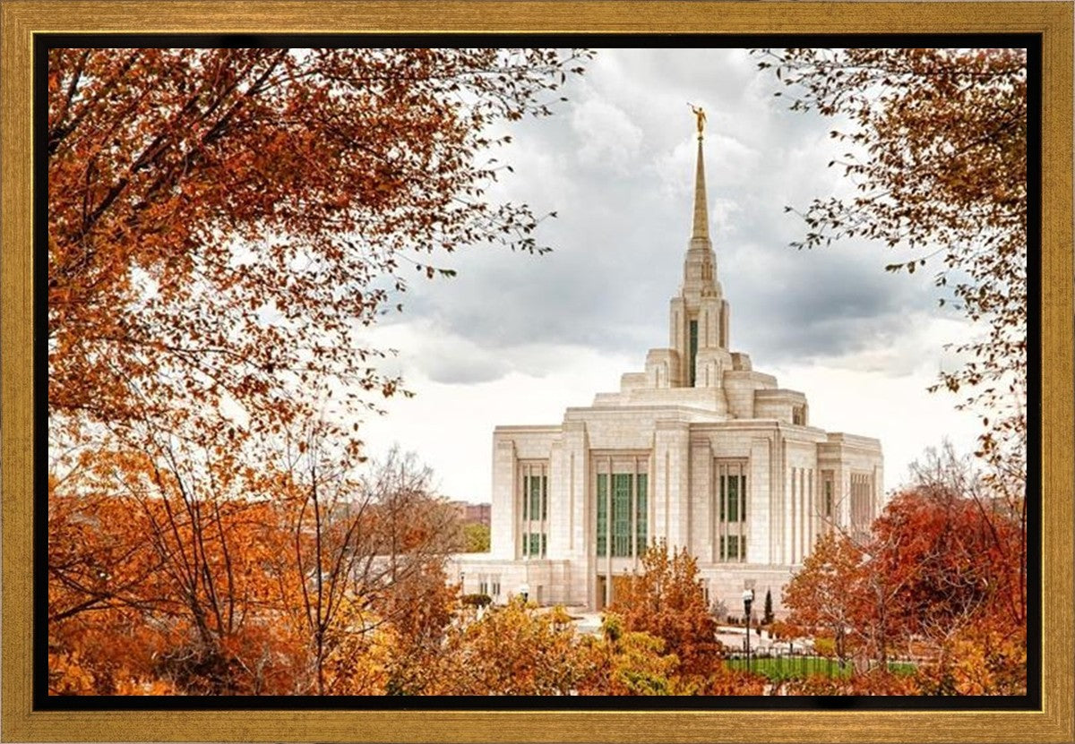 Ogden Autumn Leaves Gallery Wrap