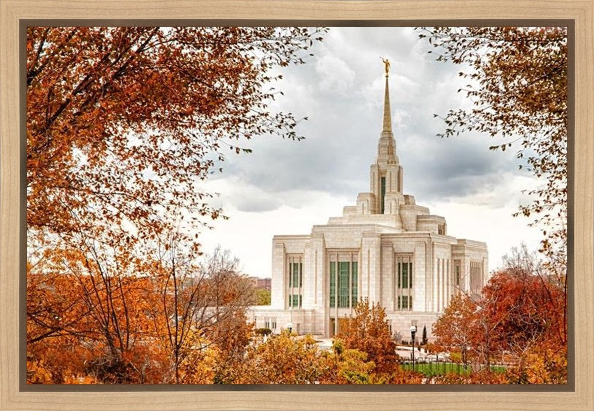 Ogden Autumn Leaves Gallery Wrap