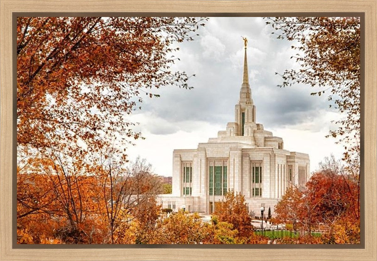 Ogden Autumn Leaves Gallery Wrap