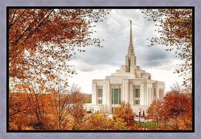 Ogden Autumn Leaves Gallery Wrap