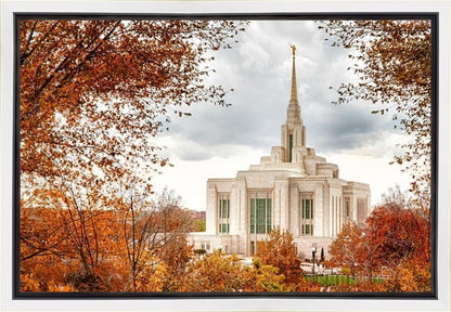 Ogden Autumn Leaves Gallery Wrap