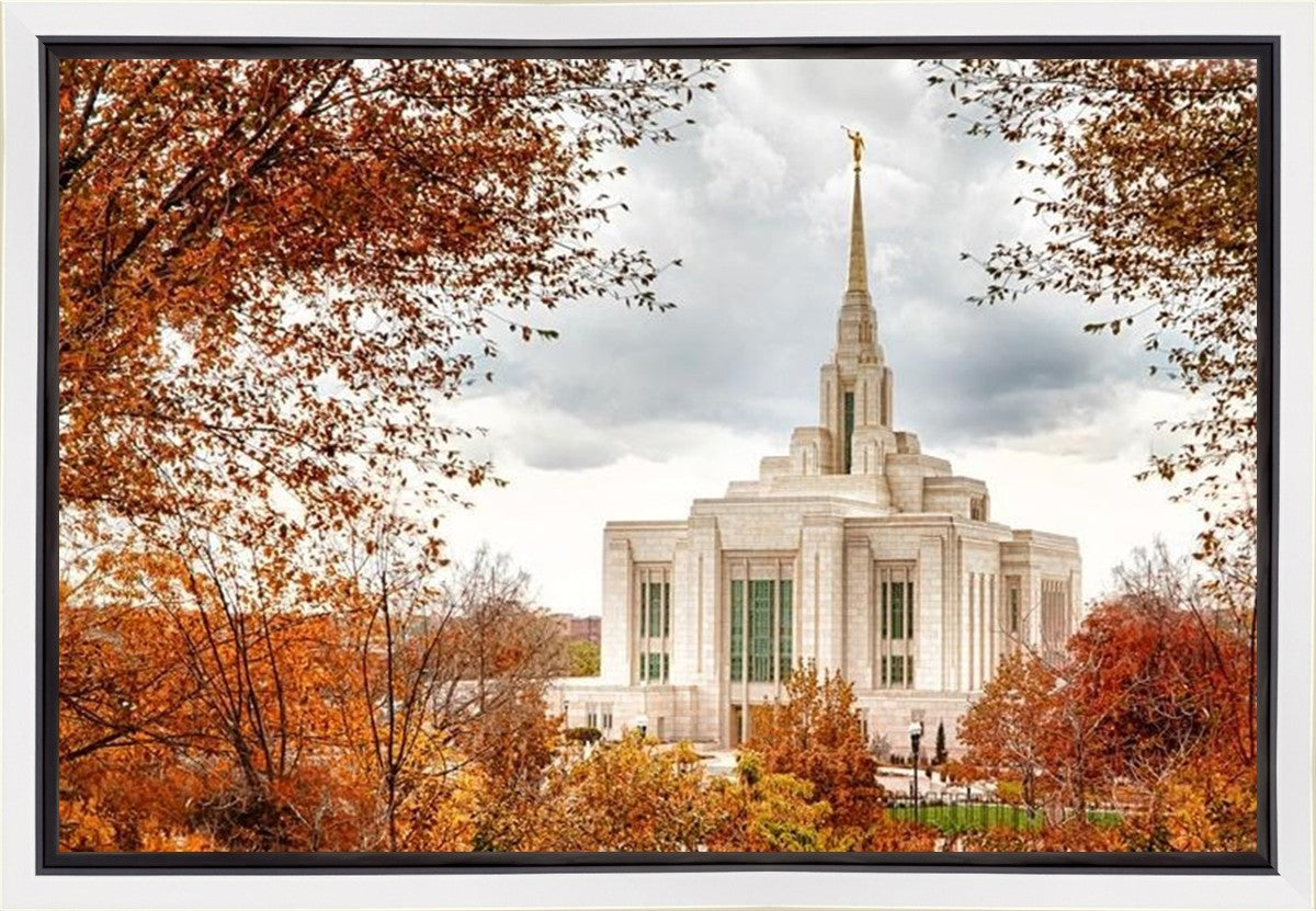 Ogden Autumn Leaves Gallery Wrap