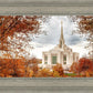 Ogden Autumn Leaves