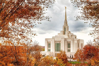 Ogden Autumn Leaves Gallery Wrap