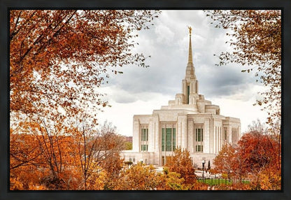 Ogden Autumn Leaves Gallery Wrap