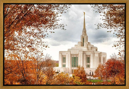 Ogden Autumn Leaves Gallery Wrap