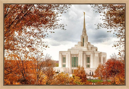 Ogden Autumn Leaves Gallery Wrap