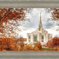 Ogden Autumn Leaves