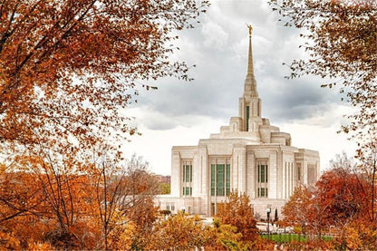 Ogden Autumn Leaves Gallery Wrap