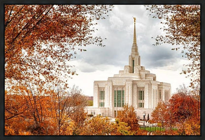 Ogden Autumn Leaves Gallery Wrap