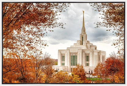 Ogden Autumn Leaves Gallery Wrap