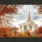 Ogden Autumn Leaves