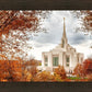 Ogden Autumn Leaves