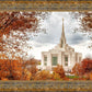 Ogden Autumn Leaves