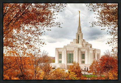 Ogden Autumn Leaves Gallery Wrap