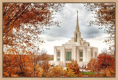 Ogden Autumn Leaves Gallery Wrap