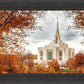 Ogden Autumn Leaves