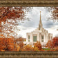 Ogden Autumn Leaves