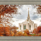 Ogden Autumn Leaves