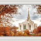 Ogden Autumn Leaves