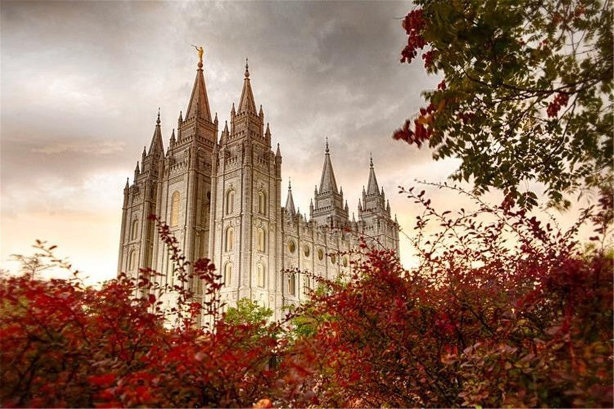 Salt Lake Autumn Trees Gallery Wrap