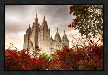 Salt Lake Autumn Trees Gallery Wrap