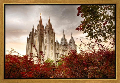 Salt Lake Autumn Trees Gallery Wrap