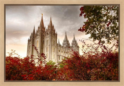 Salt Lake Autumn Trees Gallery Wrap