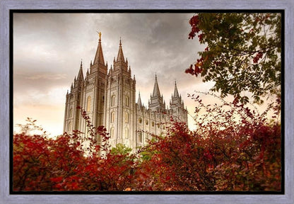 Salt Lake Autumn Trees Gallery Wrap