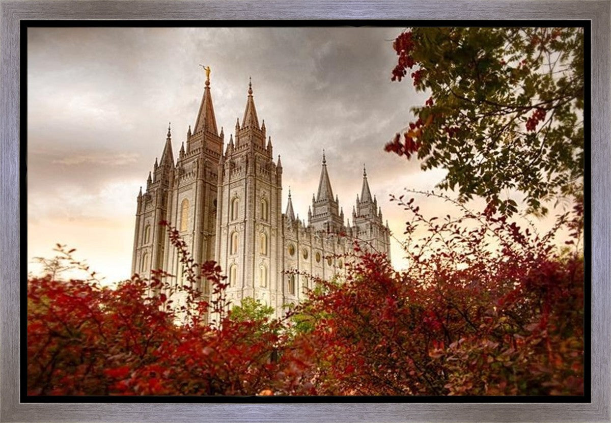 Salt Lake Autumn Trees Gallery Wrap
