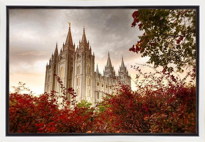 Salt Lake Autumn Trees Gallery Wrap