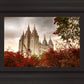 Salt Lake Autumn Trees