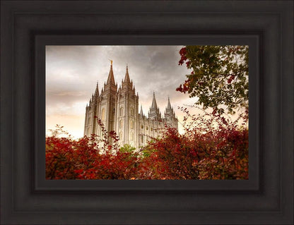 Salt Lake Autumn Trees