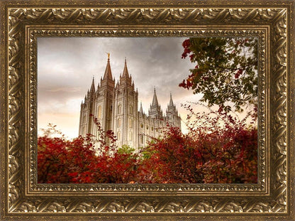 Salt Lake Autumn Trees