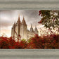 Salt Lake Autumn Trees