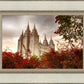 Salt Lake Autumn Trees