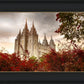 Salt Lake Autumn Trees