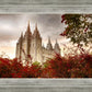 Salt Lake Autumn Trees