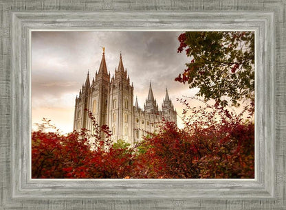 Salt Lake Autumn Trees