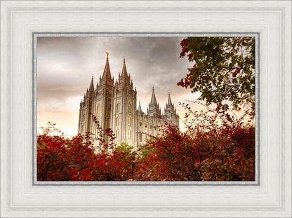 Salt Lake Autumn Trees