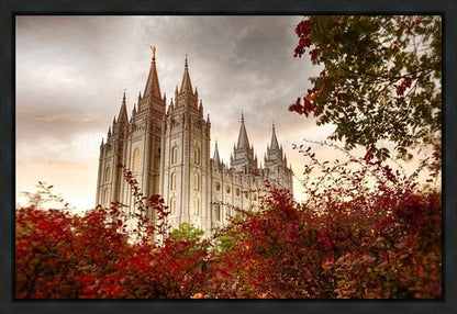 Salt Lake Autumn Trees Gallery Wrap