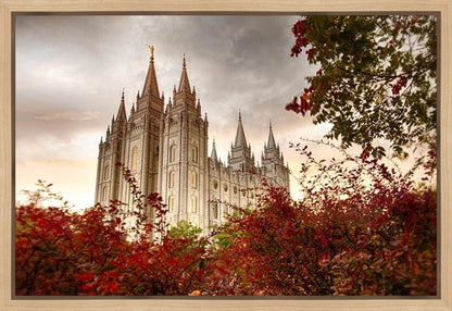 Salt Lake Autumn Trees Gallery Wrap